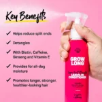 Leave-in Conditioner (3)