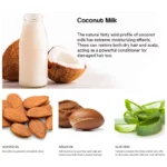 Coconut Milk Shampoo (4)
