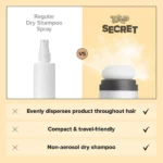Dry Shampoo Powder (6)