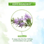 Rosemary Essential Oil (3)