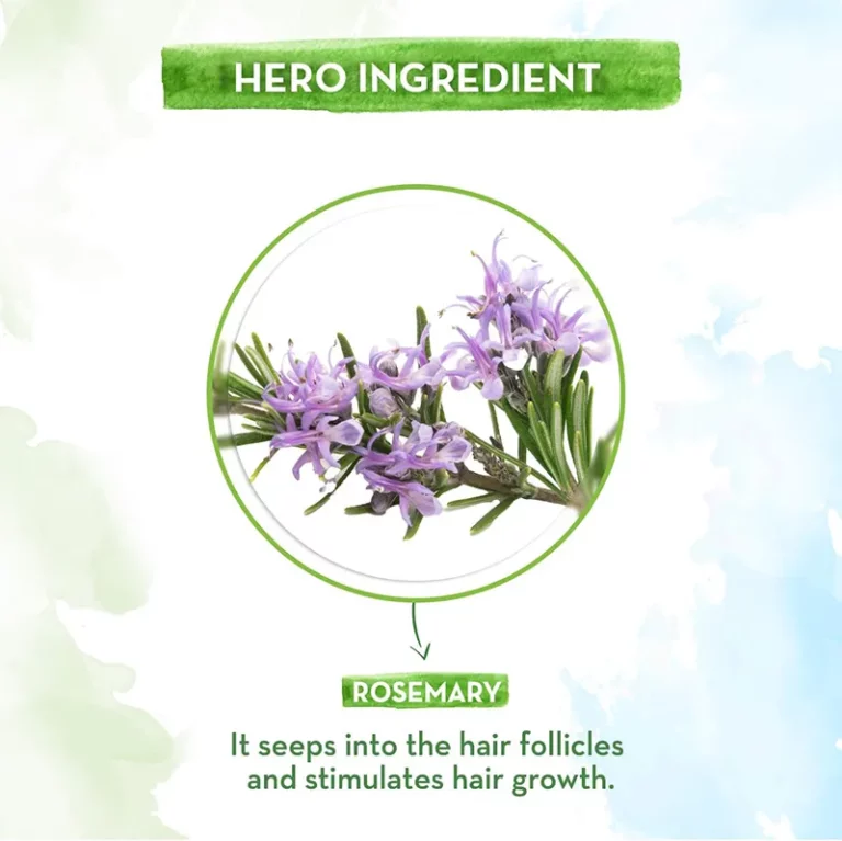 Rosemary Essential Oil (3)