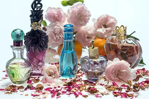 Fragrance and Texture Experience