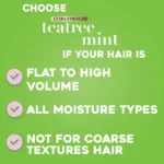 Teatree Dry Scalp Treatment (2)