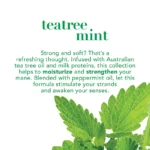 Teatree Dry Scalp Treatment (3)
