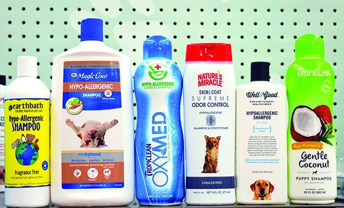 Best Shampoos for Dogs with Sensitive Skin Guide
