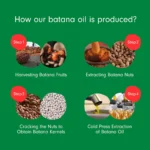 Batana Oil for Hair Growth (2)