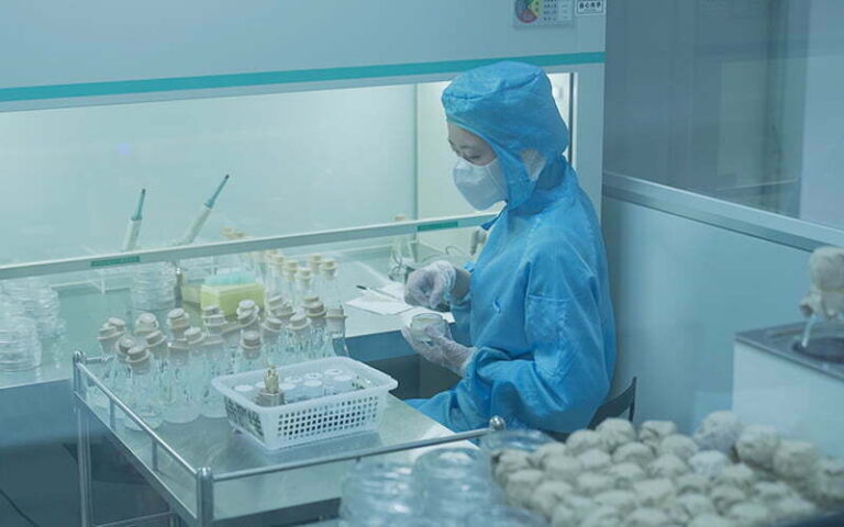 13.Finished-product-testing