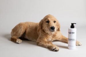 Does Pet Shampoo Expire Shelf Life & Usage Guide