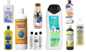 Fast, Lasting Flea Control The Best Flea & Tick Shampoos for Every DogFast, Lasting Flea Control The Best Flea & Tick Shampoos for Every Dog