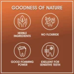 Ganoderma-Toothpaste-6