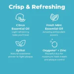 Lemon-Mint-Mouthwash-3