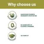 Organic-Neem-Toothpaste-4