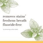 SLS-Free-Zen-Toothpaste-2