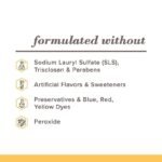 SLS-Free-Zen-Toothpaste-5